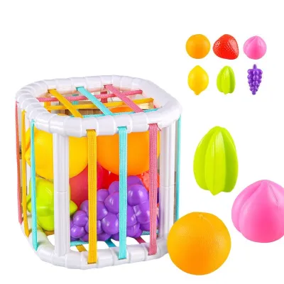 Baby Einstein Bendy Fruits Toys