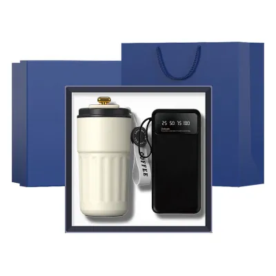 Mug & Power Pack Business Set