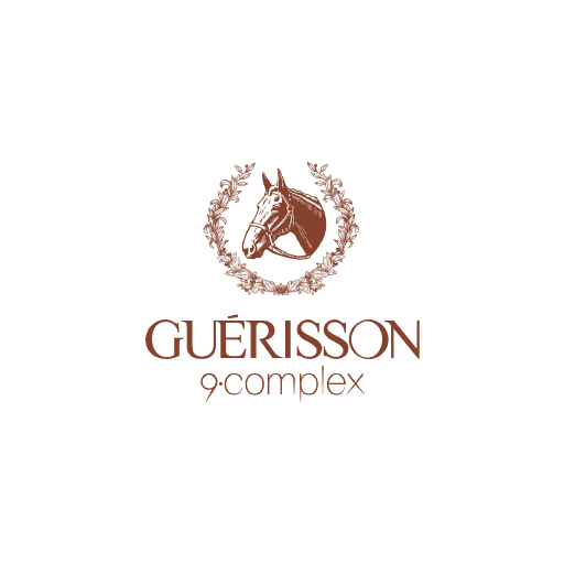 Guerisson