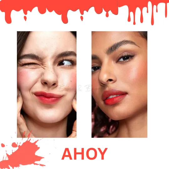 SHEGLAM Jelly-licious Tinted Blush Stick