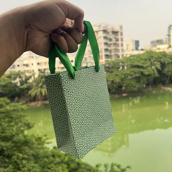 Dazzle Mini Gift Bag